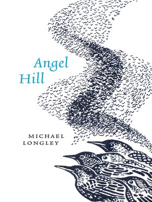 cover image of Angel Hill